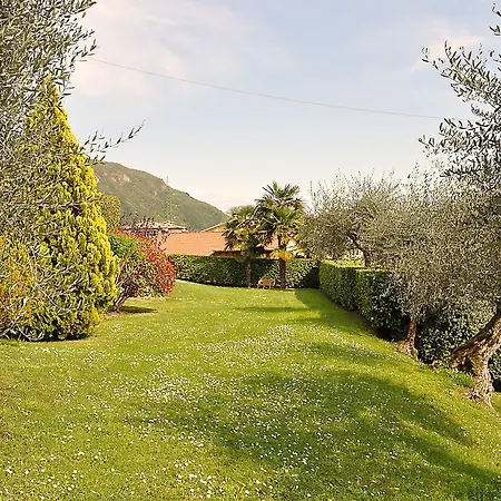 Il Moresine